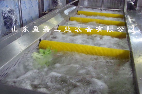 毛刷式毛發(fā)去雜蔬菜清洗機