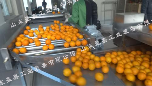 根莖類產(chǎn)品專用毛輥果蔬清洗機