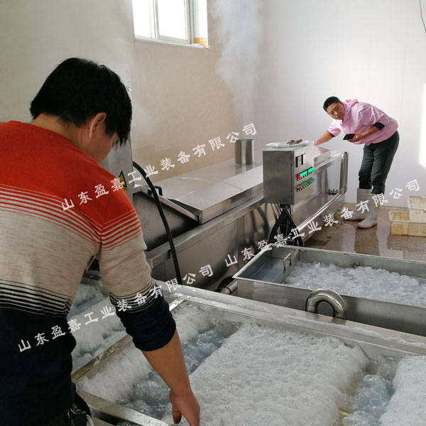 海產(chǎn)品大蝦漂燙冷卻生產(chǎn)線